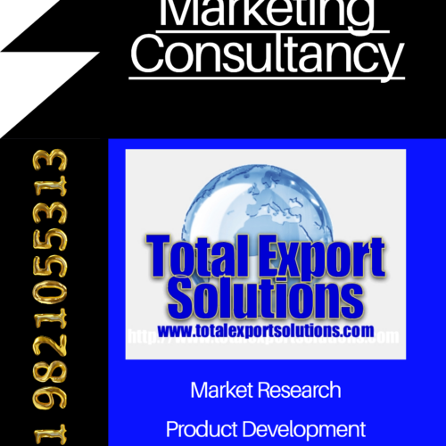 International Marketing Consultancy Total Export Solutions